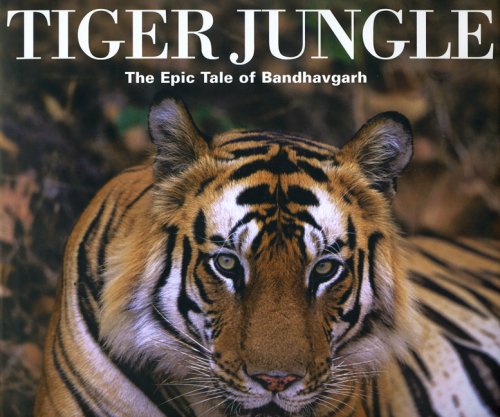 Beispielbild fr Tiger Jungle: The Epic Tale of Bandhavgarh zum Verkauf von WorldofBooks