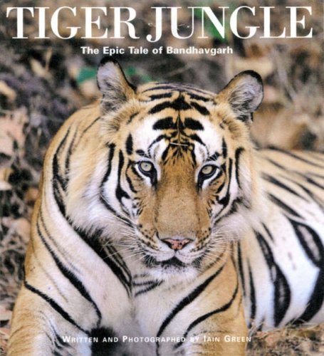 9780954311537: Tiger Jungle: The Epic Tale of Bandhavgarh