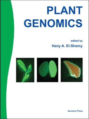 Plant Genomics - Hany A El-Shemy (Editor)