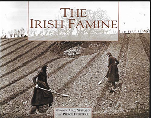 Imagen de archivo de The Irish Famine a la venta por WorldofBooks