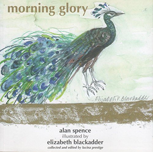 Beispielbild fr Morning Glory zum Verkauf von WorldofBooks