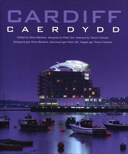 Stock image for Cardiff Caerdydd: Heritage, Culture, Sport, Leisure, City Centre, the Bay for sale by WorldofBooks