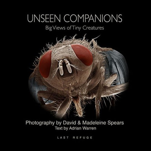 Stock image for Unseen Companions: Big Views of Tiny Creatures for sale by WorldofBooks