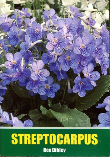 9780954446802: Streptocarpus