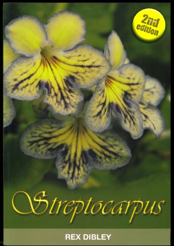 9780954446826: Streptocarpus