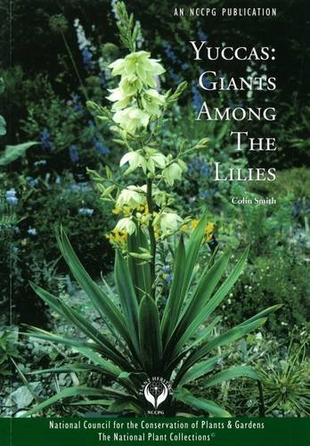 Beispielbild fr Yuccas: Giants Among the Lillies zum Verkauf von WorldofBooks