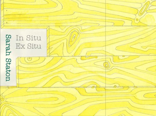 In Situ Ex Situ (9780954474867) by Sarah Staton