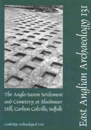 The Anglo-Saxon Settlement and Cemetery at Bloodmoor Hill, Carlton Colville, Suffolk (East Anglian Archaeology Monograph) (9780954482466) by Lucy, Sam; Tipper, Jess; Dickens, Alison