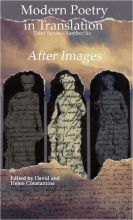 Imagen de archivo de After-images (Delete (Modern Poetry in Translation, Third Series)) a la venta por Revaluation Books