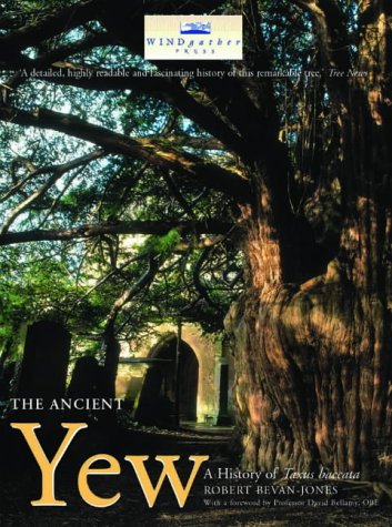 Beispielbild fr The Ancient Yew: A History of Taxus Baccata zum Verkauf von WorldofBooks