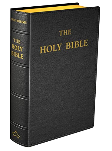 Stock image for Douay-Rheims Bible {Standard size - Black Flex Cover} for sale by GF Books, Inc.