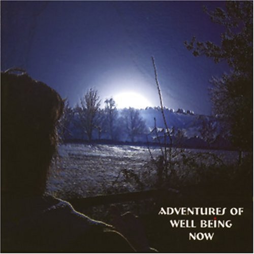 Stock image for Adventures of Well Being Now (Audio CD) for sale by Revaluation Books