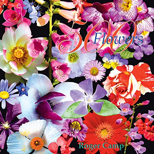 Beispielbild fr 500 Flowers: A celebration of the natural world zum Verkauf von Half Price Books Inc.