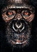 Stock image for James & Other Apes for sale by WorldofBooks