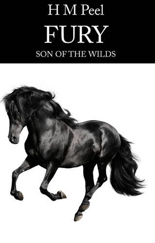 9780954726881: Fury, Son of the Wilds
