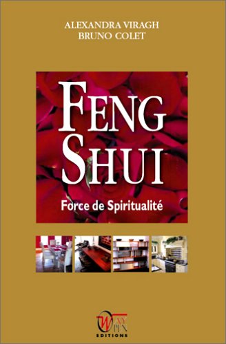 Beispielbild fr Feng Shui : Force de Spiritualit zum Verkauf von Shanti