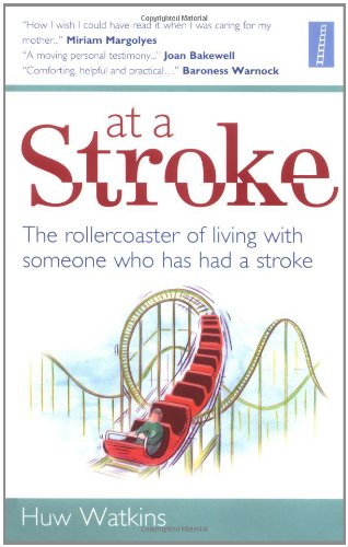 9780954821999: At a Stroke: The Rollercoaster of Living with Someone Who Has Had a Stroke