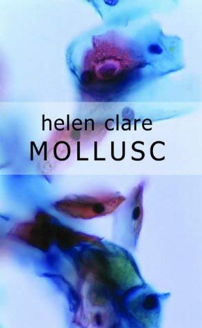 Mollusc (9780954828004) by Helen Clare