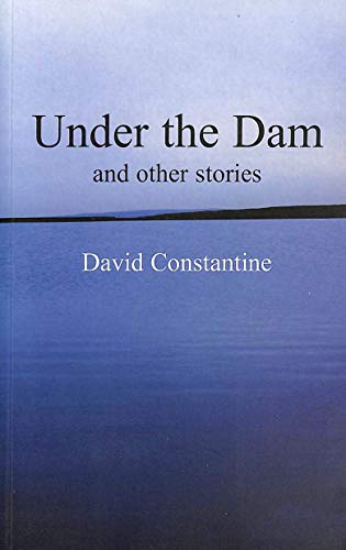 9780954828011: Under the Dam: And Other Stories