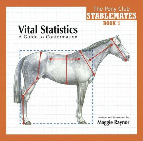 Beispielbild fr Vital Statistics: A Guide to Conformation (Stablemates) (Pony Club Stablemates) zum Verkauf von WorldofBooks