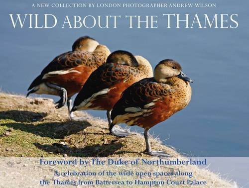 Beispielbild fr Wild About the Thames: A Celebration of the Open Spaces Along the Thames from Battersea to Hampton Court zum Verkauf von WorldofBooks