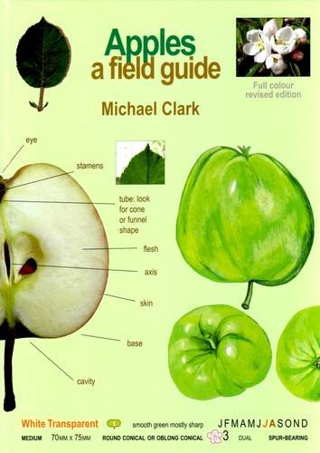 Stock image for Apples a Field Guide (Tewin Orchard) for sale by Bahamut Media