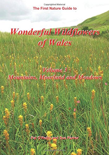 9780954955434: Mountains, Moorland and Meadows (v. 3)