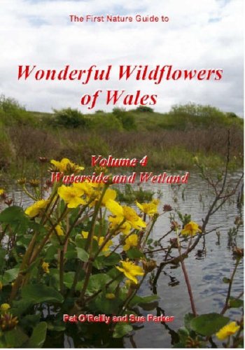 Stock image for Wild Orchids in Wales for sale by Goldstone Books