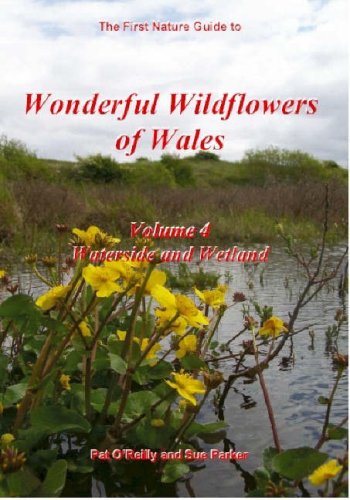 9780954955465: The First Nature Guide to Wild Orchids in Wales