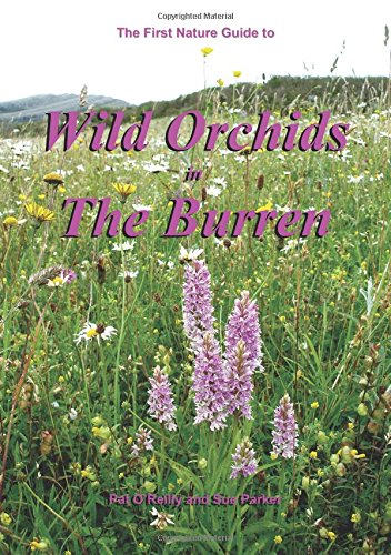 Stock image for The first nature guide to wild orchids in The Burren for sale by MW Books