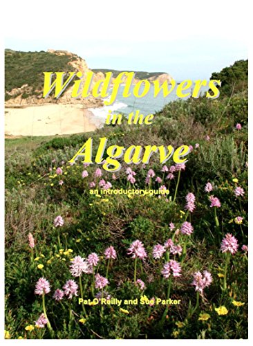 9780954955496: Wildflowers in the Algarve: An Introductory Guide