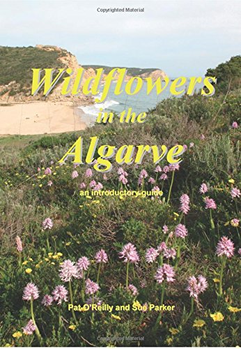 9780954955496: Wildflowers in the Algarve: An Introductory Guide
