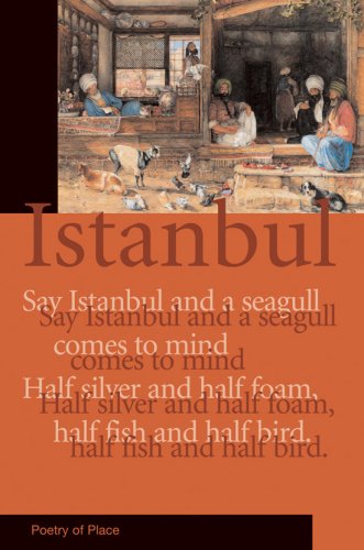 Imagen de archivo de Istanbul Poetry of Place A Collection of the Poetry of Place a la venta por PBShop.store US