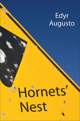 Imagen de archivo de Hornets' Nest a la venta por Blackwell's