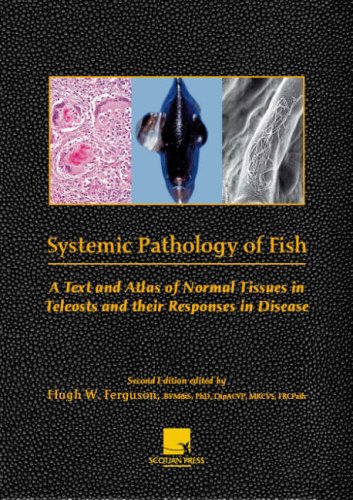 9780955303708: Systemic Pathology of Fish: A Text and Atlas of Normal Tissue Responses in Teleosts, and Their Responses in Disease