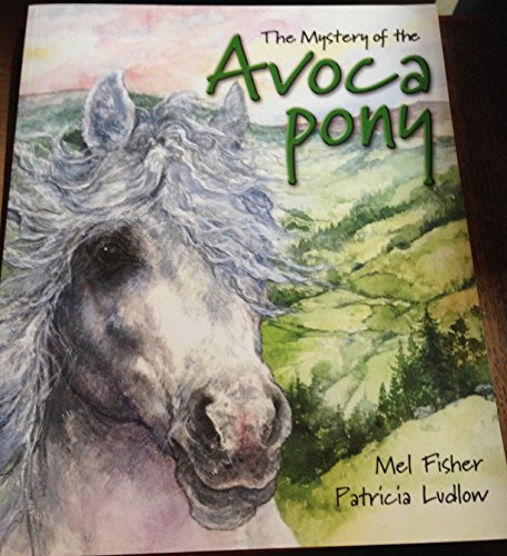 9780955332593: Mystery of the Avoca Pony