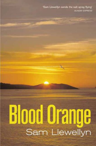 Stock image for Blood Orange for sale by WorldofBooks