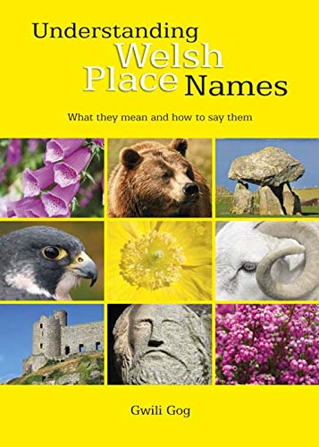Stock image for Understanding Welsh Place Names for sale by Hippo Books