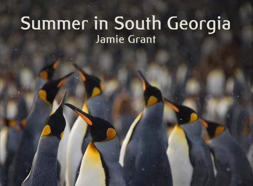 Stock image for Summer in South Georgia for sale by WorldofBooks