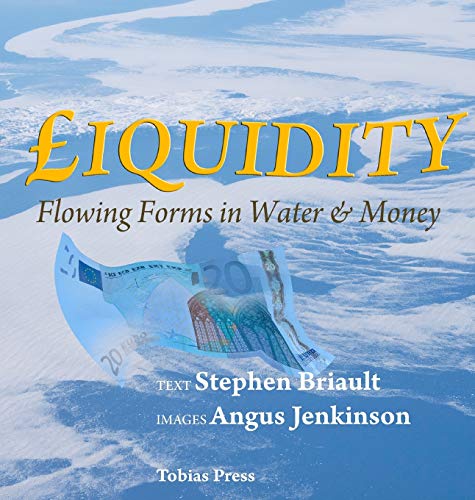 9780955536236: Liquidity: Flowing Forms in Water and Money: 1