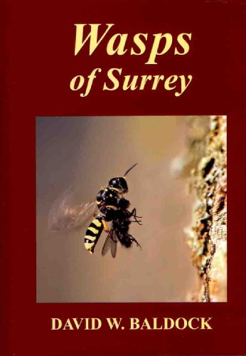 9780955618826: Wasps of Surrey: v. 12 (The Surrey Wildlife Atlas Project)