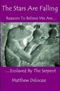 9780955629624: The Stars are Falling: Reasons to Believe We are Enslaved by the Serpent