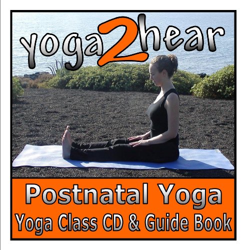 Beispielbild fr Post Natal Yoga zum Verkauf von Revaluation Books