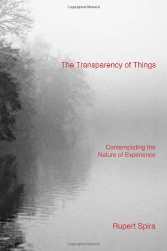 Beispielbild fr The Transparency of Things: Contemplating the Nature of Experience zum Verkauf von Front Cover Books