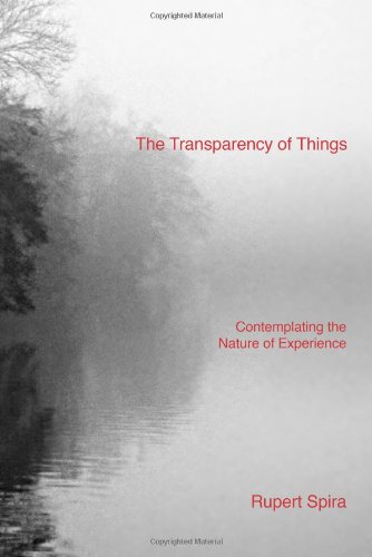 Imagen de archivo de The Transparency of Things: Contemplating the Nature of Experience a la venta por Goodwill Industries of VSB