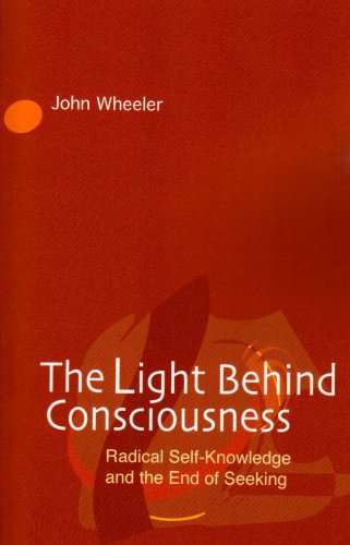 Stock image for The Light Behind Consciousness for sale by Front Cover Books