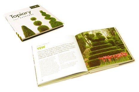 Beispielbild fr Topiary for Everyone zum Verkauf von Better World Books