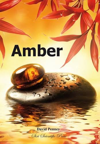 Stock image for Amber for sale by Revaluation Books