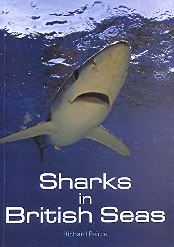 Beispielbild fr Sharks in British Seas zum Verkauf von WorldofBooks