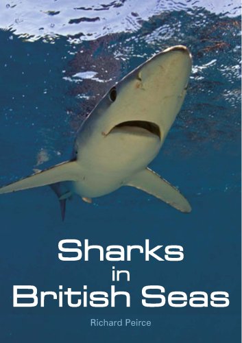 Stock image for Sharks in British Seas for sale by WorldofBooks
